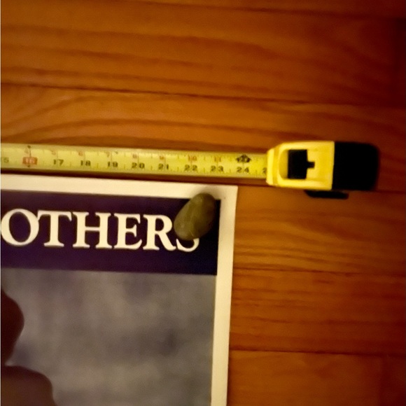 Set of (4) vintage posters: Janis, Tom Waits, The Beatles’, The Blues Brothers - Picture 8 of 9